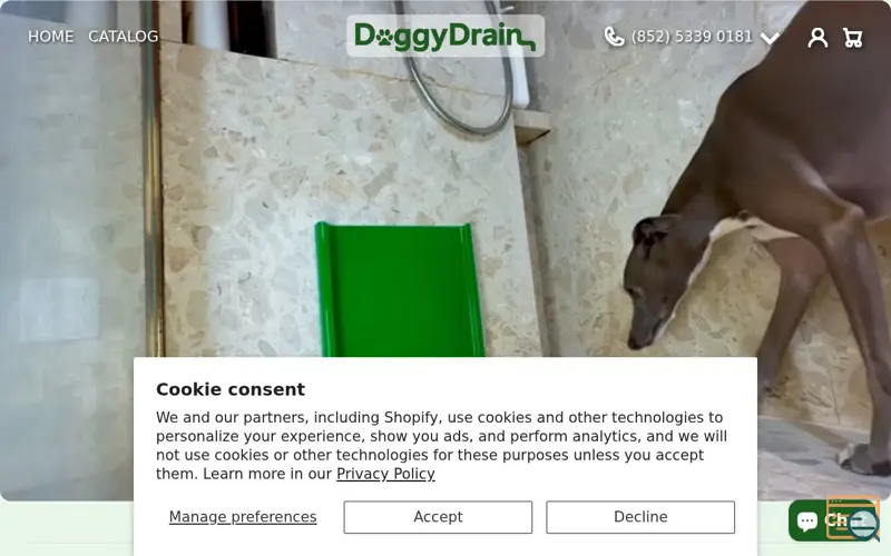 Screenshot of DoggyDrain