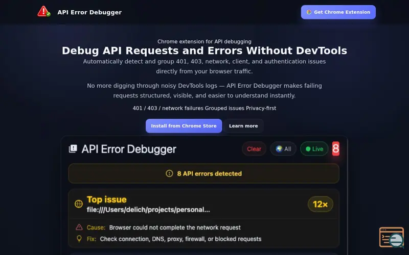 Screenshot of API Error Debugger
