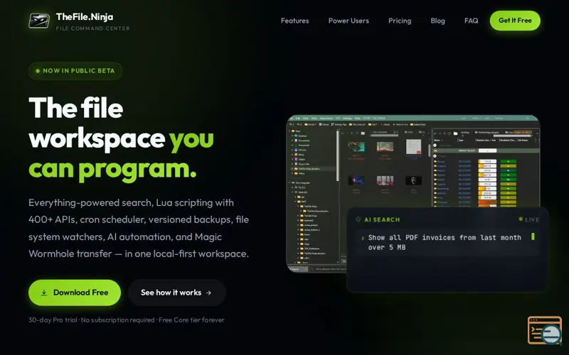 Screenshot of TheFile.Ninja