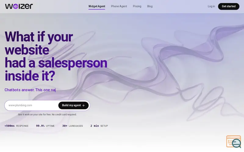 Screenshot of Woizer