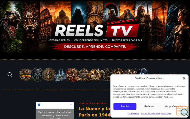 Screenshot of ReelsTV