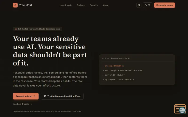 Screenshot of TokenVeil