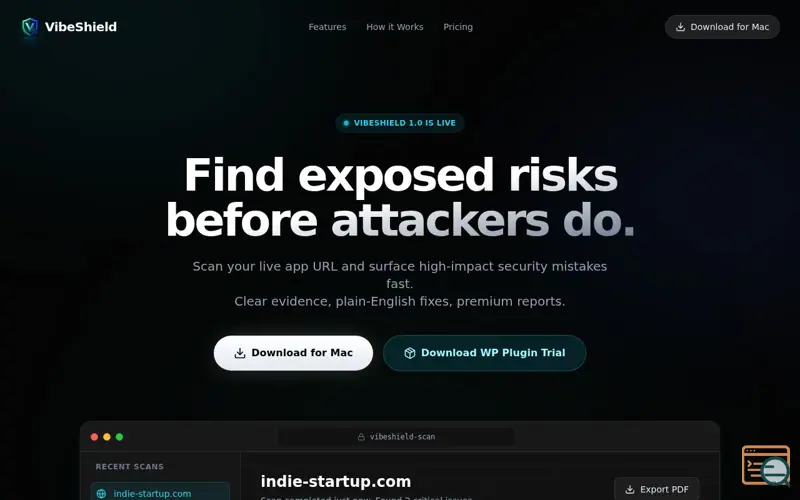 Screenshot of VibeShield