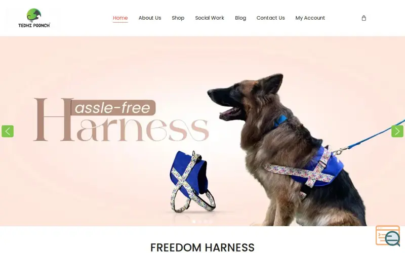 Screenshot of Best Dog Accessories available in India, a launch using Trustindex