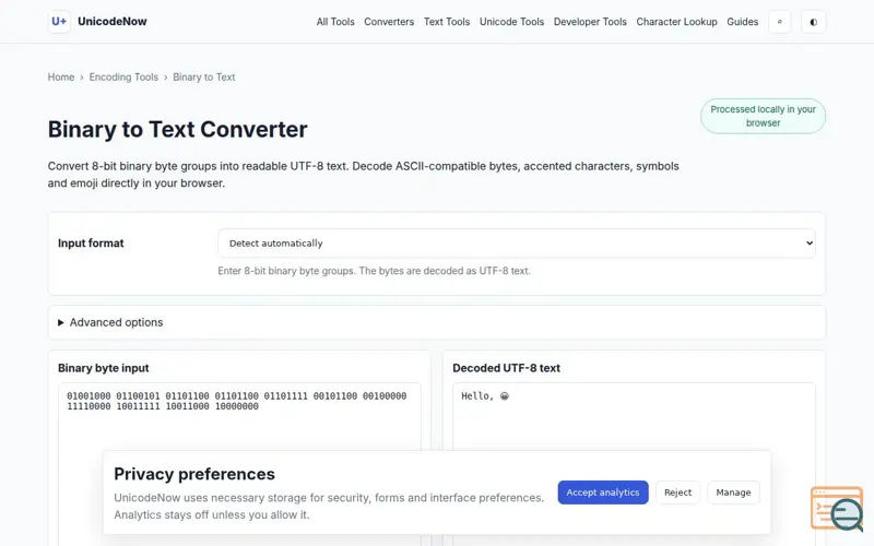 Screenshot of Binary to Text Converter