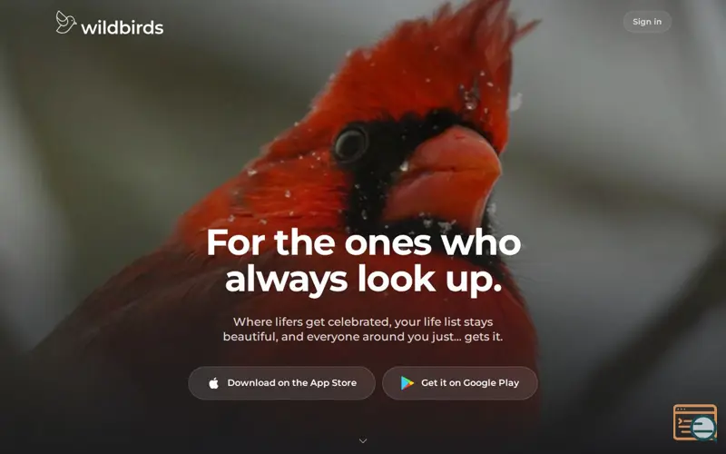 Screenshot of wildbirds