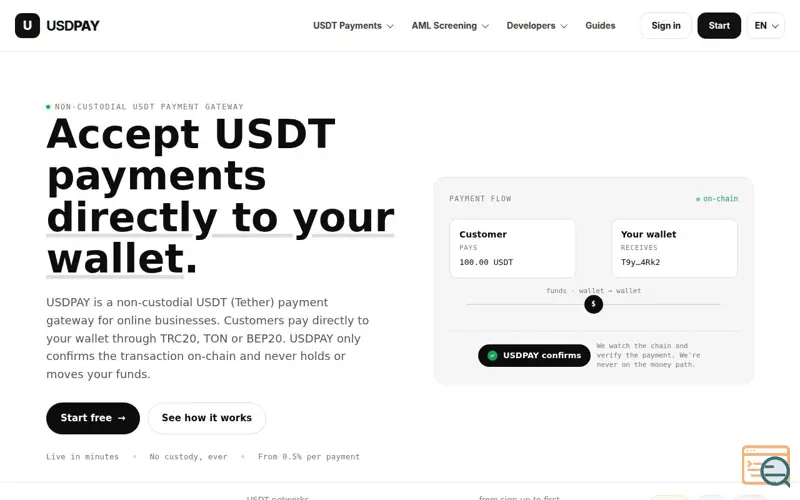 Screenshot of USDPAY — Accept USDT. Straight to your wallet.