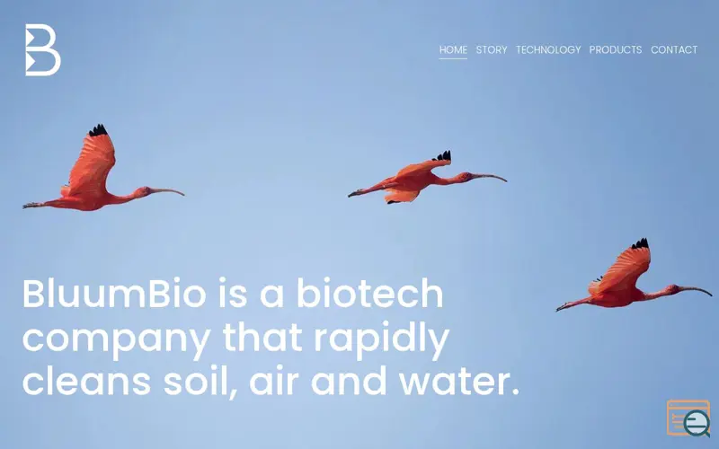 Screenshot of BluumBio