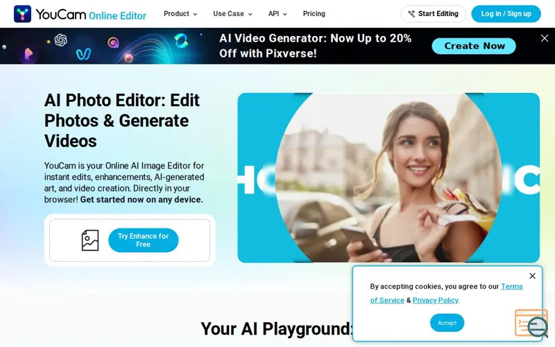 Screenshot of YouCam Online Editor