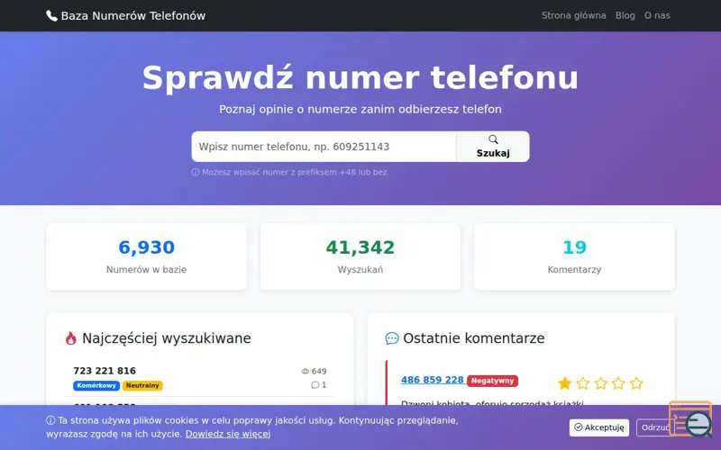 Screenshot of OpinieNumer, a launch using MicroHost DNS