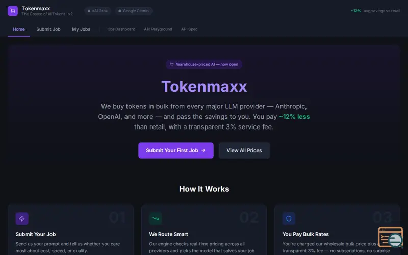 Screenshot of Tokenmaxx