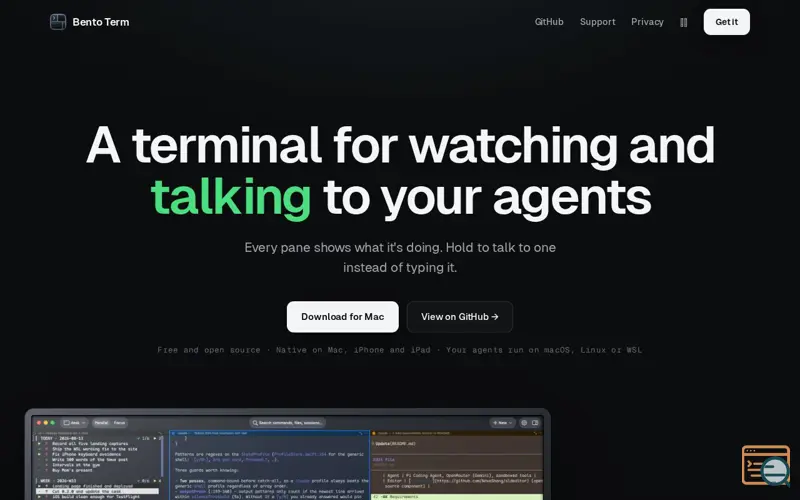Screenshot of Bento Term