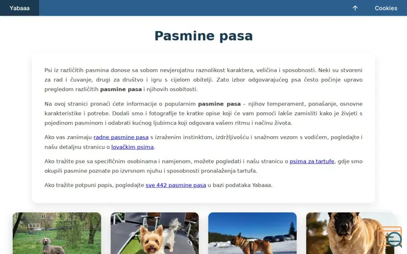 Screenshot of Yabaaa