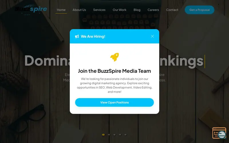 Screenshot of BuzzSpire Media Pvt. Ltd.