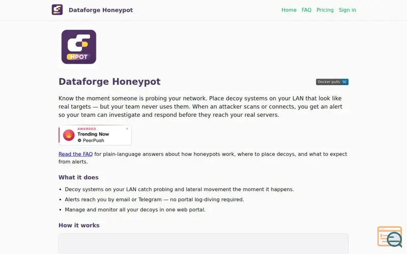 Screenshot of Dataforge Honeypot