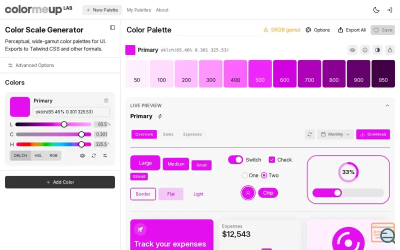 Screenshot of ColorMeUp Lab