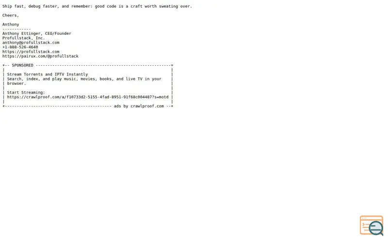 Screenshot of Terminal Ad Network