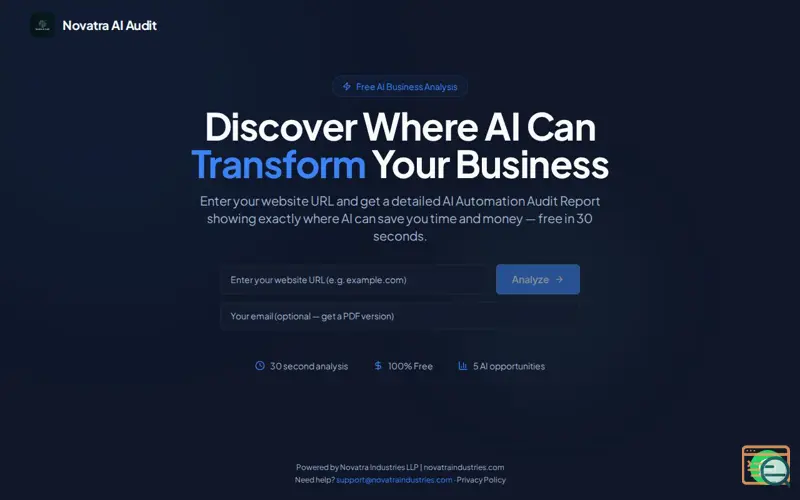 Screenshot of Free AI Business Audit