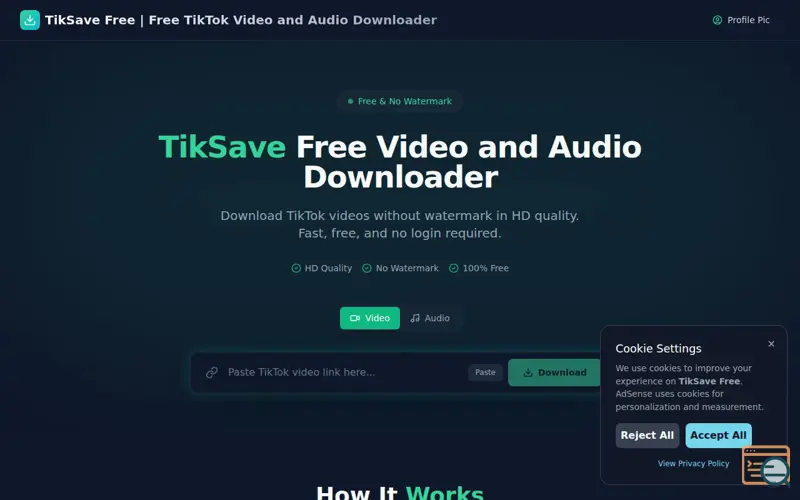 Screenshot of TikSave