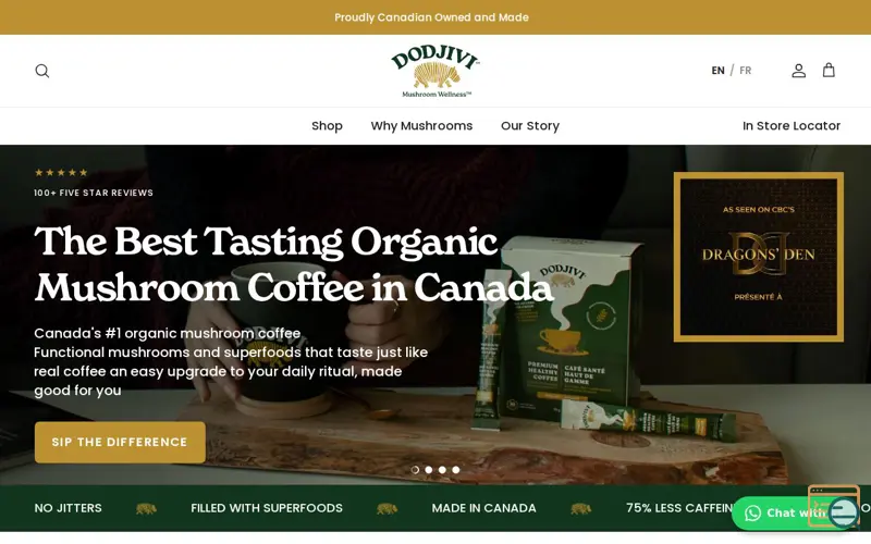 Screenshot of DODJIVI INC.