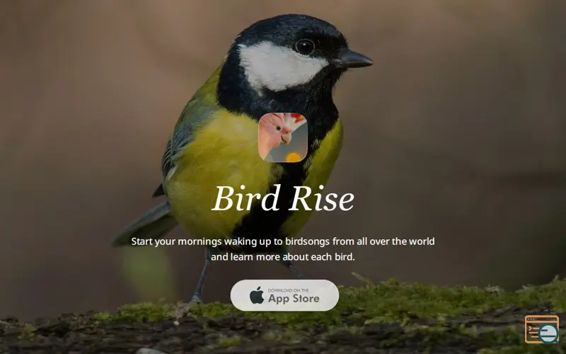 Screenshot of Bird Rise