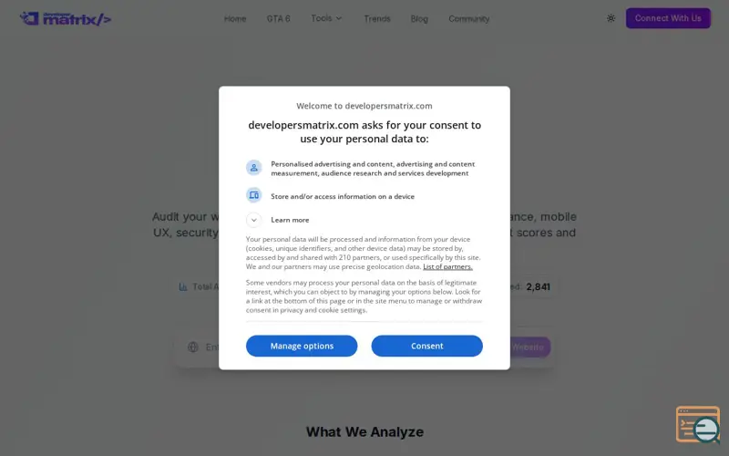 Screenshot of Free Website Audit Tool