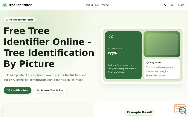 Screenshot of Tree Identifier Online