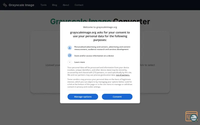 Screenshot of Grayscale Image