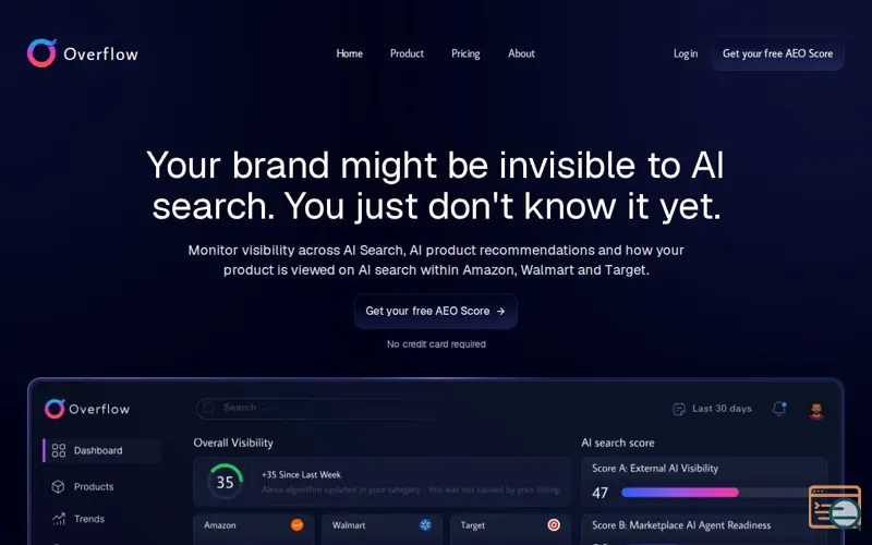 Screenshot of Overflow