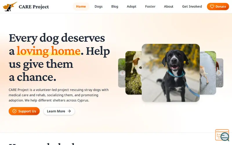 Screenshot of CARE Project