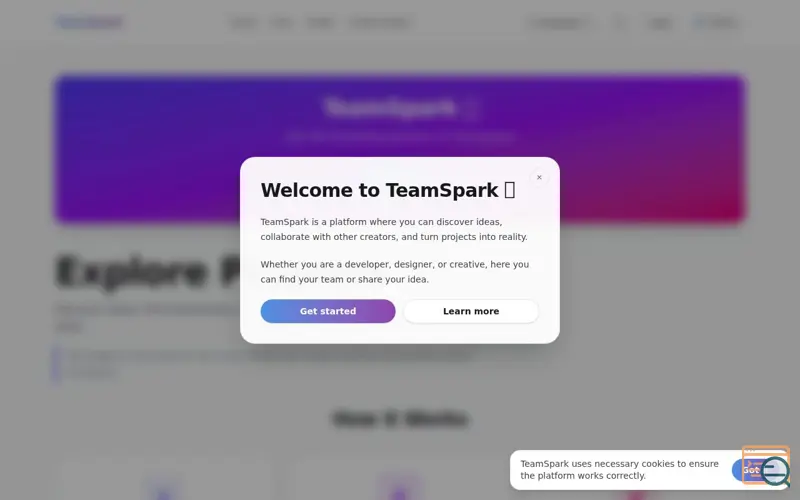 Screenshot of TeamSpark