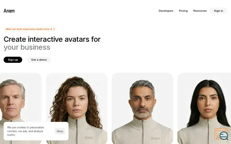 Screenshot of Anam