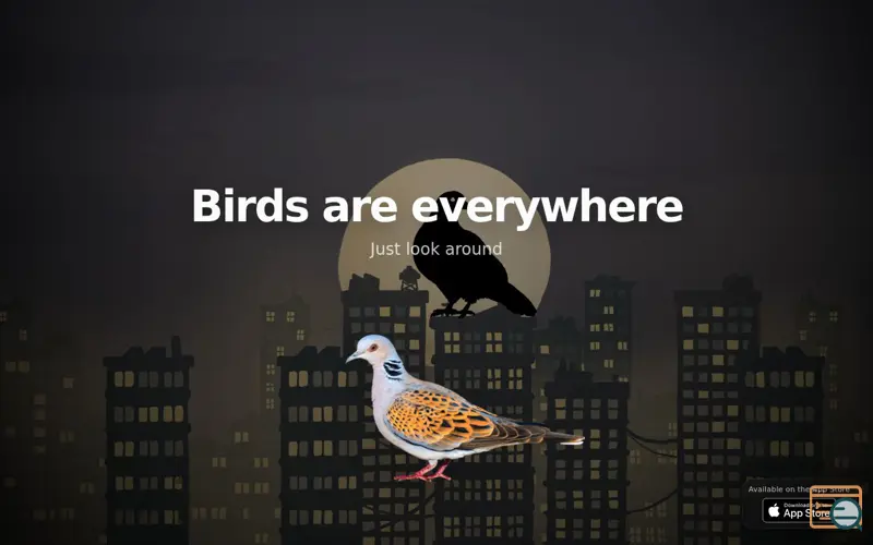 Screenshot of Birdora