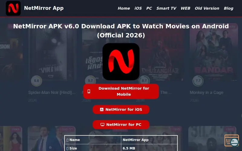 Screenshot of NetMirror App