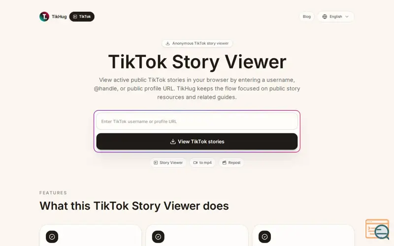 Screenshot of TikTok Story Viewer