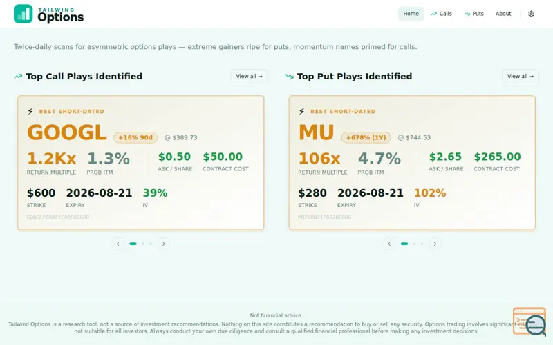 Screenshot of Tailwind Options