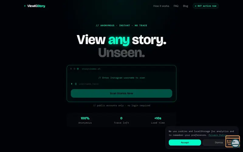 Screenshot of ViewIGStory