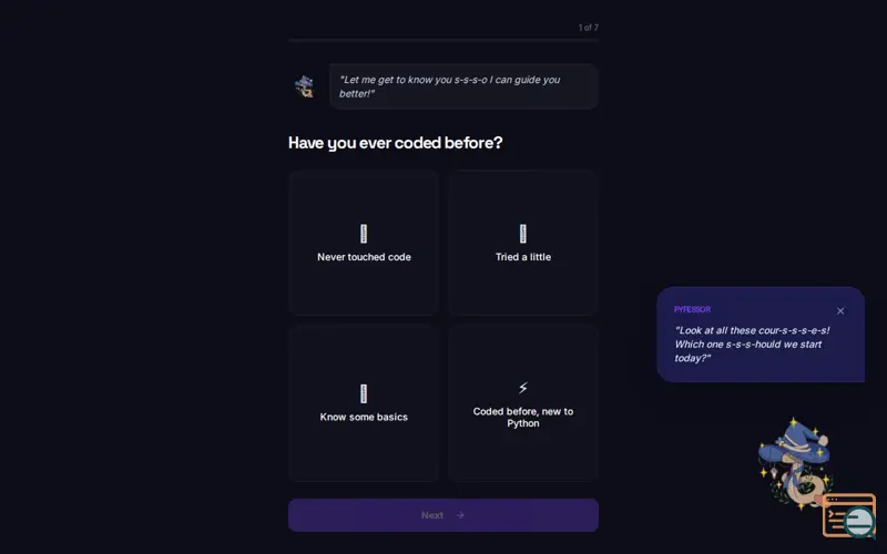 Screenshot of Pyfessor AI