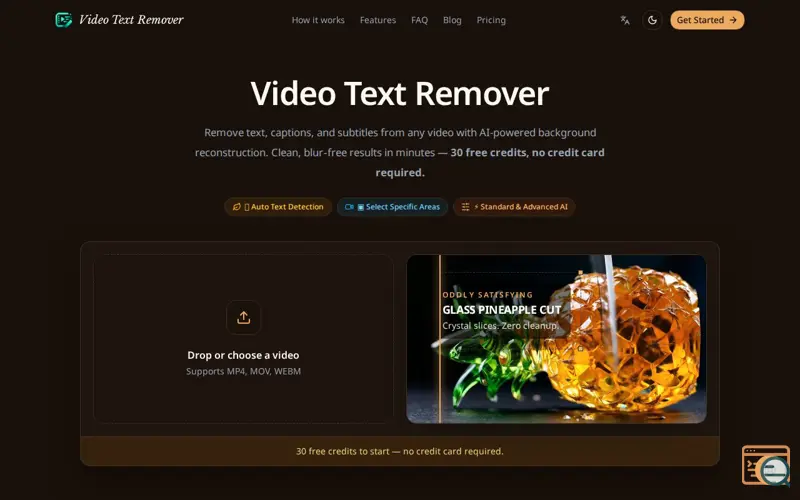Screenshot of Video Text Remover