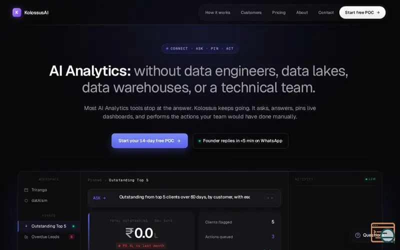 Screenshot of AI Analytics for Tally