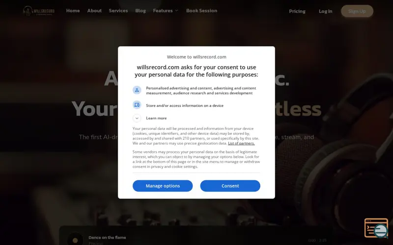 Screenshot of WillsRecord Inc.