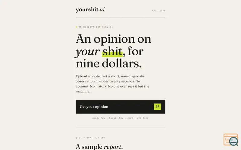 Screenshot of yourshit.ai