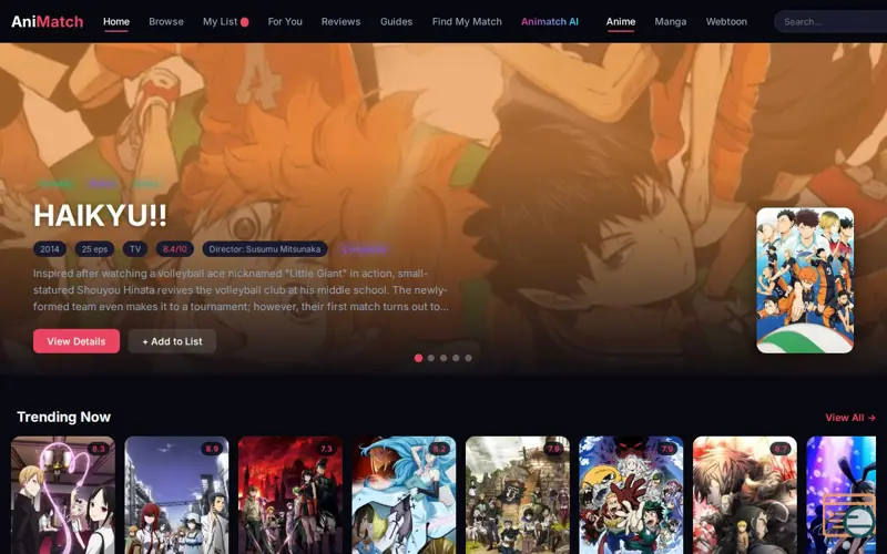 Screenshot of AniMatch 