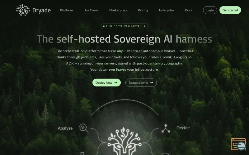 Screenshot of Dryade, a launch using Anycast DNS