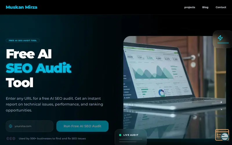 Screenshot of Website Audit Tool